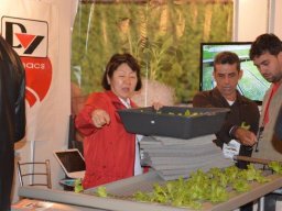 08° Encontro de Hidroponia