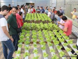 10° Encontro de Hidroponia