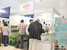 10° Encontro de Hidroponia