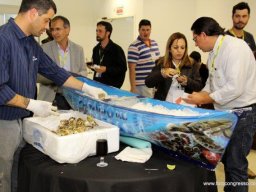 11° Encontro de Hidroponia