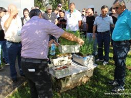11° Encontro de Hidroponia