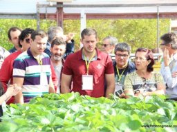 11° Encontro de Hidroponia
